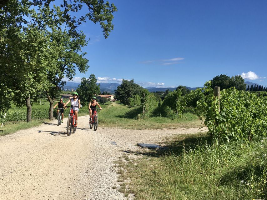Lazise: Bike Tour and Wine Tasting - A 20-kilometer ride through vineyards and olive groves