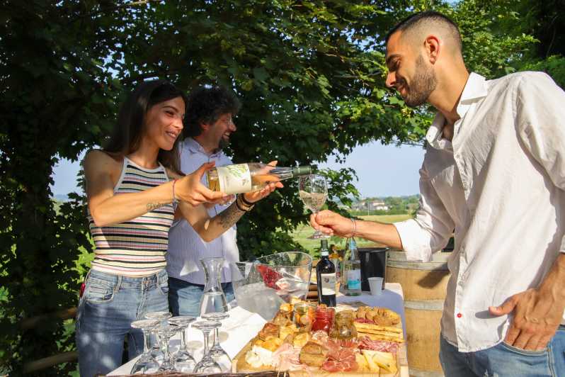 Lazise: Biodynamic Farm Tour and Natural Wine Tasting - Walking the vineyards and learning biodynamic methods