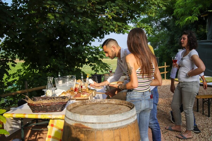 Lazise: Biodynamic Farm Tour and Natural Wine Tasting - Meeting the animals, bees, and farm life