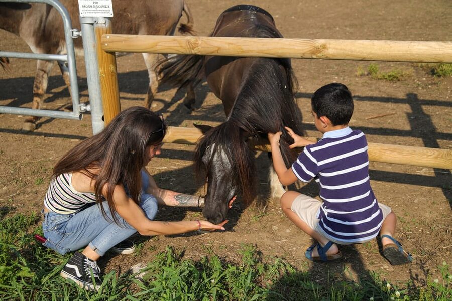 Lazise: Biodynamic Farm Tour and Natural Wine Tasting - Arriving at Colà di Lazise and finding the farm