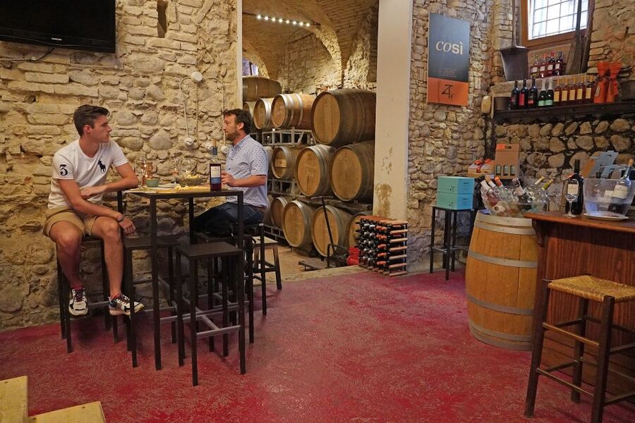Lazise: Historical Center Wine Tasting Tour - Should You Book the ZF4 Cellar Tasting?