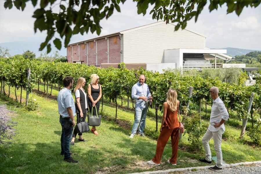Lazise: Vineyard Tour and Organic Wine Tasting - Should You Book the Lazise Organic Winery Tour?