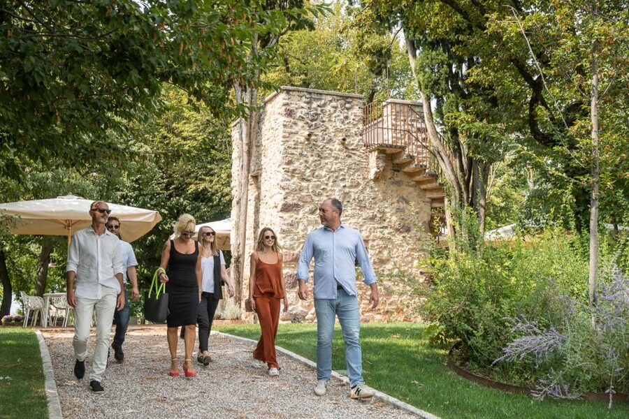 Lazise: Vineyard Tour and Organic Wine Tasting - Starting Among the Vine Rows Near Lazise