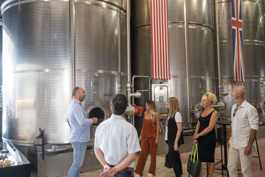 Lazise: Vineyard Tour and Organic Wine Tasting - Inside the Cellar: Old and New Working Tools