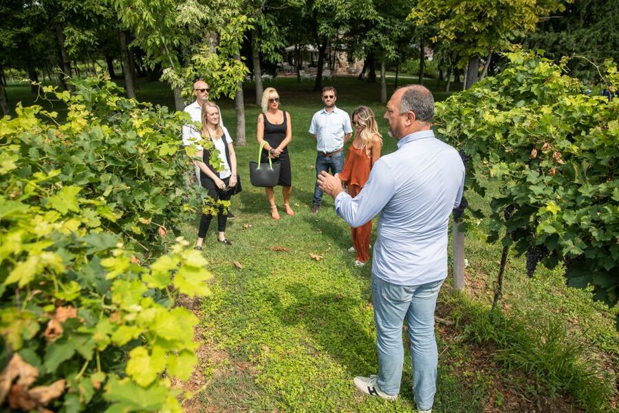 Lazise: Vineyard Tour and Organic Wine Tasting - Who Will Enjoy This Lazise Wine Visit