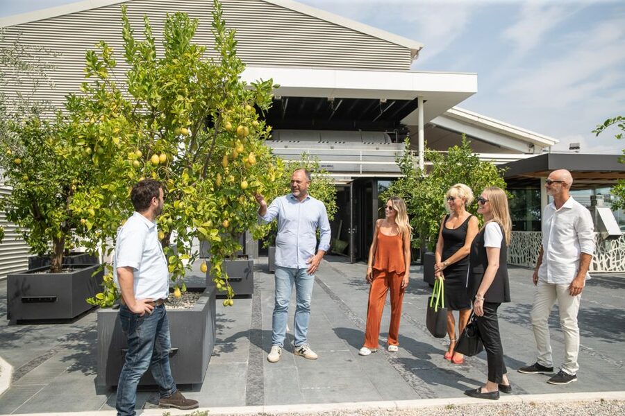 Lazise: Vineyard Tour and Organic Wine Tasting - Understanding the Organic Farming Approach