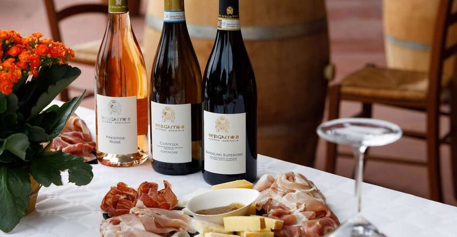 Lazise: Winery Tour with Garda Wines and Food Tasting - Why this Lazise winery visit works so well