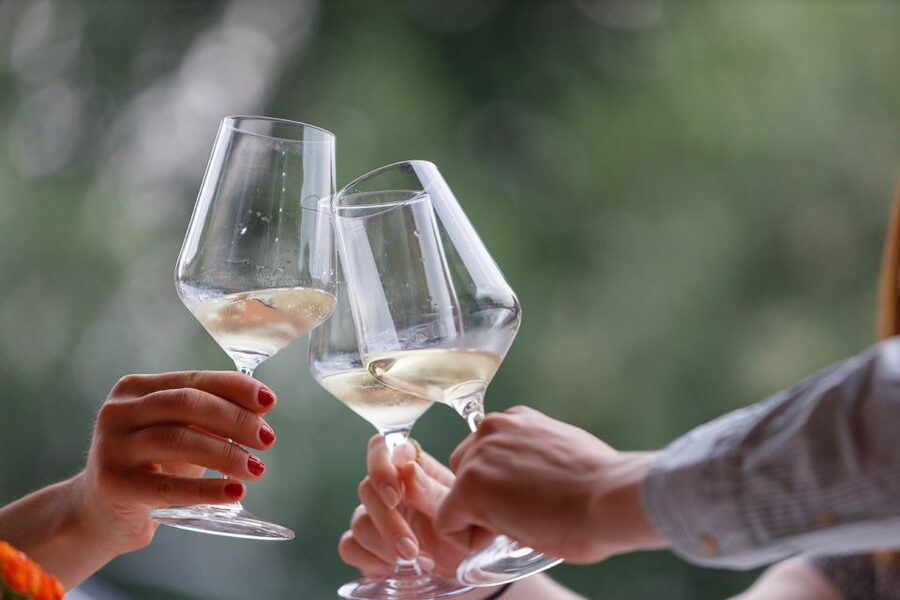 Lazise: Winery Tour with Garda Wines and Food Tasting - Starting among the grapevines