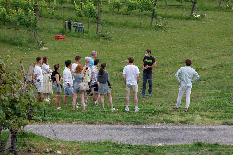 Lazise: Winery Tour with Garda Wines and Food Tasting - Seeing fermentation and aging up close