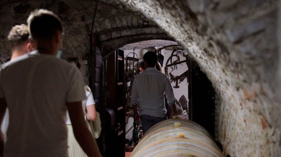 Lazise: Winery Tour with Garda Wines and Food Tasting - The guides are a major part of the value