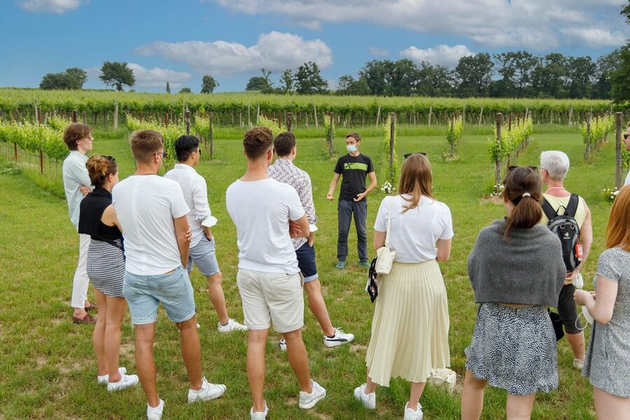 Lazise: Winery Tour with Garda Wines and Food Tasting - Is $49 a fair price?