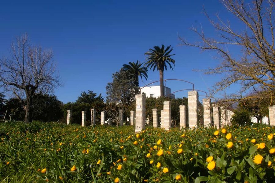 Lecce: Countryside Vineyard Walk & Wine Tasting - Key points to know before you book