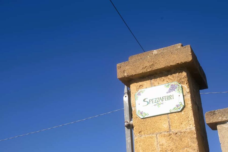 Lecce: Countryside Vineyard Walk & Wine Tasting - Why this short outing feels different from a standard wine tour