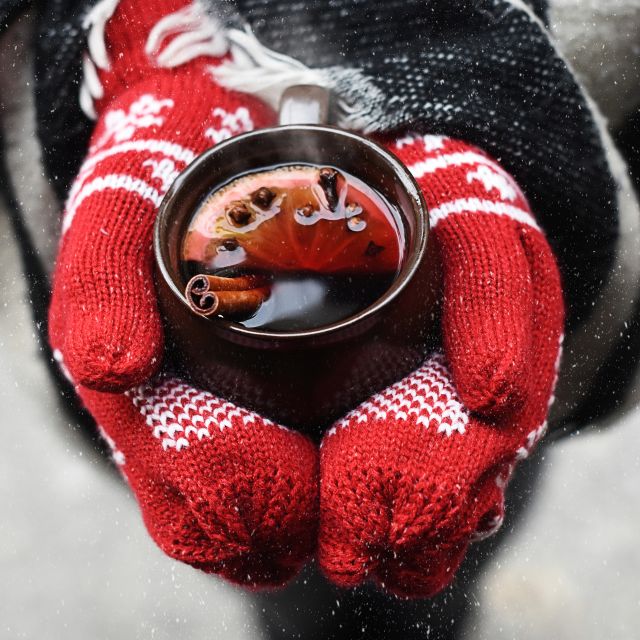Leipzig: Mulled Wine Motorboat Tour - Palmengartenwehr and the practical side of the city