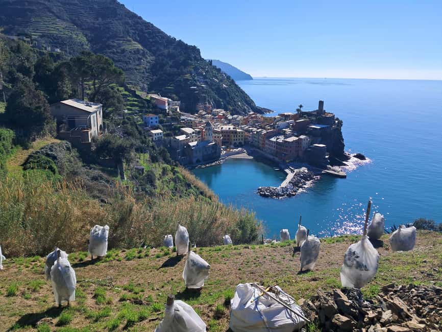 Lemon tour with Limoncino and Wine tasting in Vernazza (Cinque Terre) - Starting beneath Vernazza station