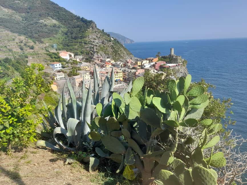 Lemon tour with Limoncino and Wine tasting in Vernazza (Cinque Terre) - Who will enjoy this outing most?