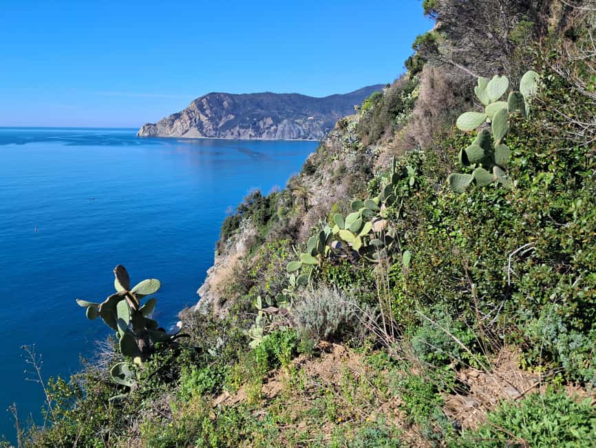 Lemon tour with Limoncino and Wine tasting in Vernazza (Cinque Terre) - Walking the old route toward Monterosso