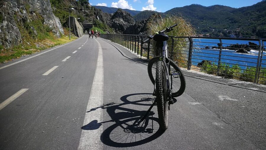 Levanto: Guided E-Bike Tour in Framura with Wine & Focaccia - Who should book this ride
