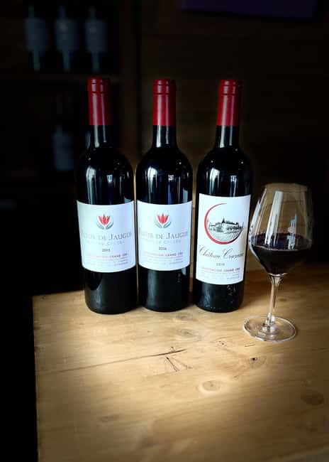 Libourne: Winery Tour with Wine and Chocolate Tasting - Who should book this experience?