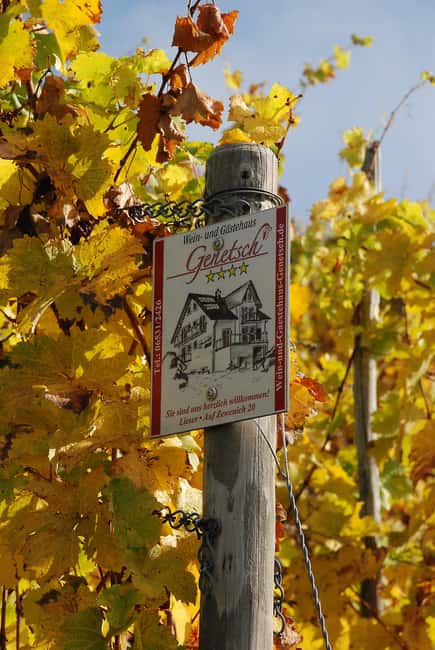 Lieser: Covered wagon ride, the rolling wine tasting with picnic basket - Kues: a second wine area and wider views