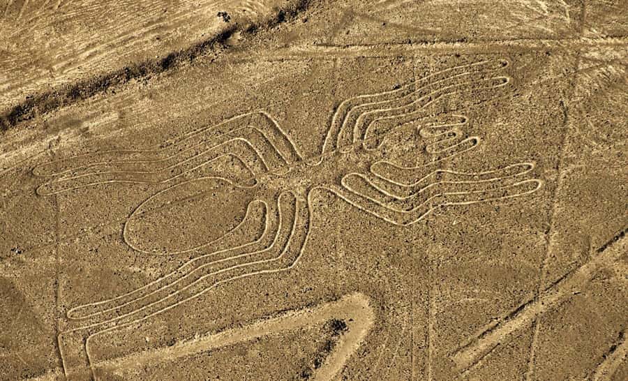 Lima: Huacachina, Winery, & Nazca Lines from Pisco Airport - Leaving Lima before sunrise