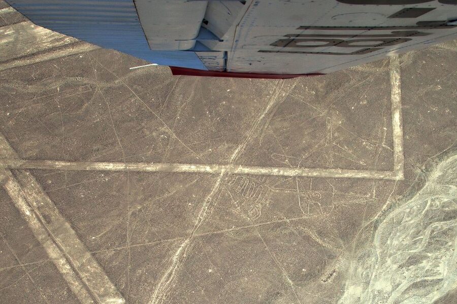 Lima: Huacachina, Winery, & Nazca Lines from Pisco Airport - Wine, pisco, and the Ica countryside