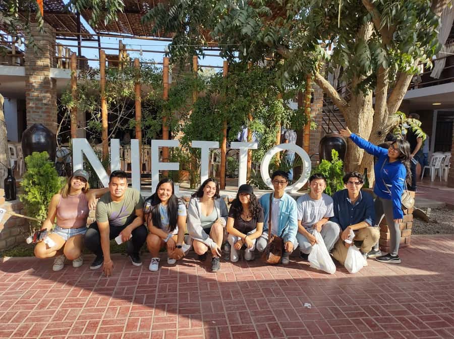 Lima: Huacachina, Winery, & Nazca Lines from Pisco Airport - Comfort, safety, and practical limits