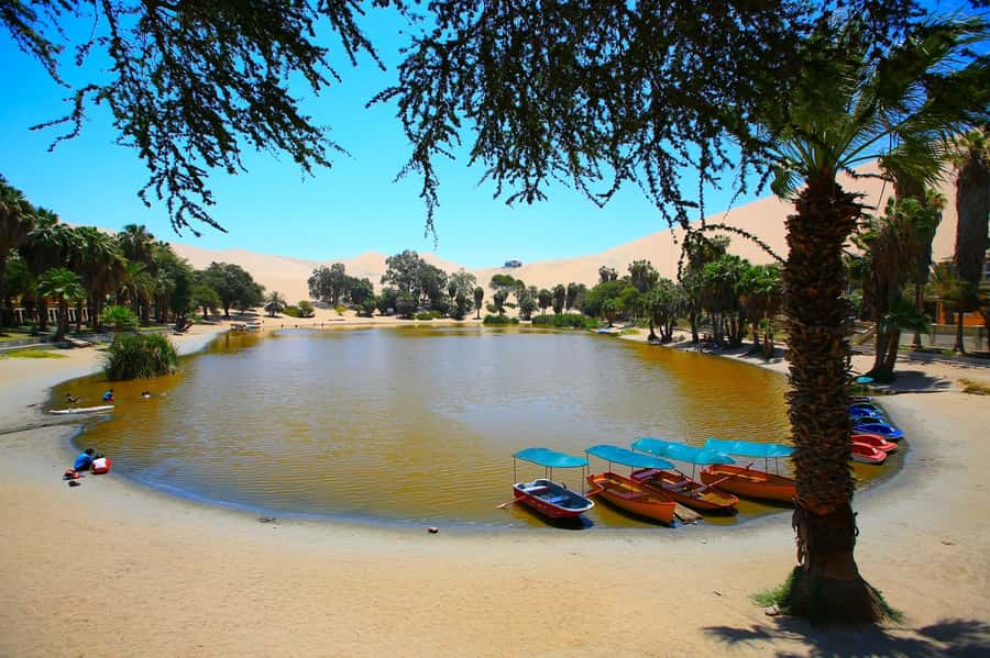 Lima: Huacachina, Winery, & Nazca Lines from Pisco Airport - Should you book the Lima to Nazca and Huacachina tour?