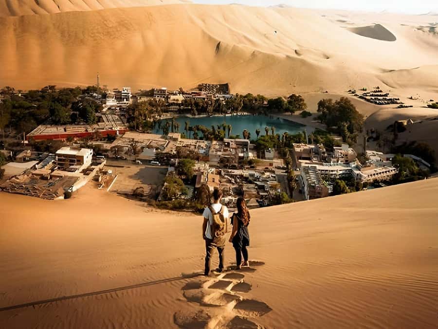 Lima: Paracas & Huacachina Oasis Day Trip with Wine & Dunes - Ballestas Islands: wildlife and the Chandelier Lines