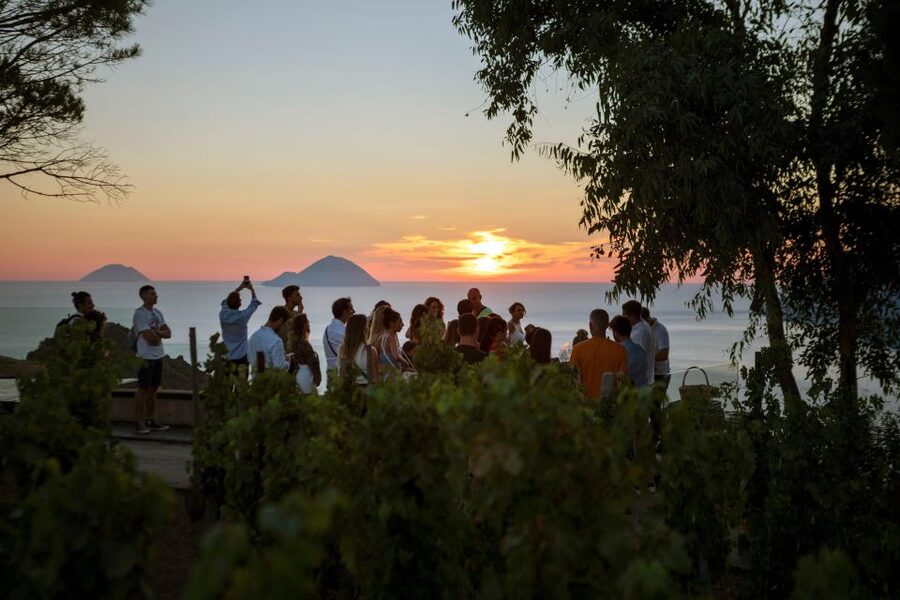 LIPARI WINERY - SUNSET WINE TASTING - Walking Among Lipari’s Native Plants and Vines