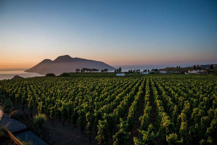 LIPARI WINERY - SUNSET WINE TASTING - Practical Details for a Smooth Visit