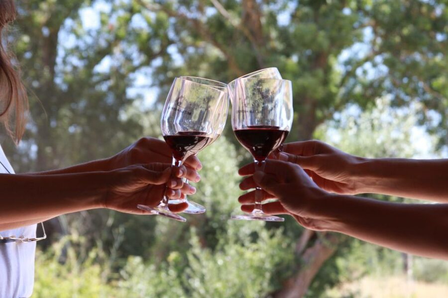 Lisbon: Arrábida and Sesimbra Day Trip with Wine - Key points to know before booking
