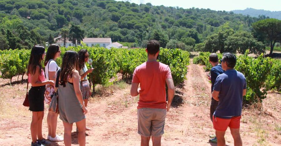 Lisbon: Arrábida and Sesimbra Day Trip with Wine - Why this day trip works so well from Lisbon