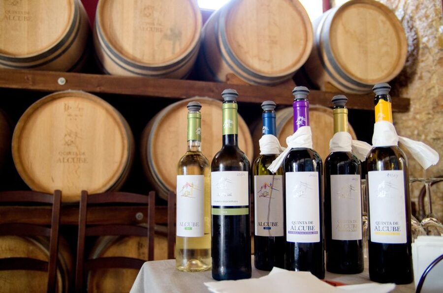 Lisbon: Arrábida and Sesimbra Day Trip with Wine - José Maria da Fonseca offers history with the tasting