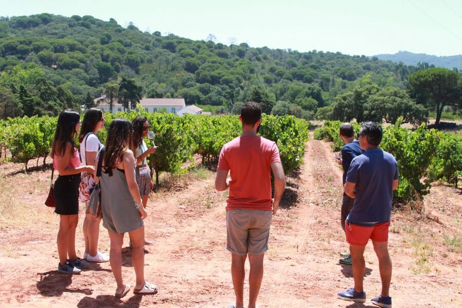 Lisbon: Arrábida and Sesimbra Day Trip with Wine - Palmela begins the day with a castle view
