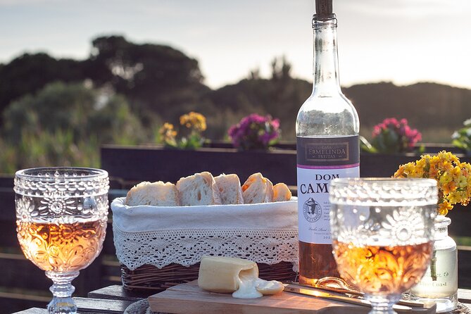 Lisbon Getaway: Private Arrábida Wine & Food Tour - The day at a glance