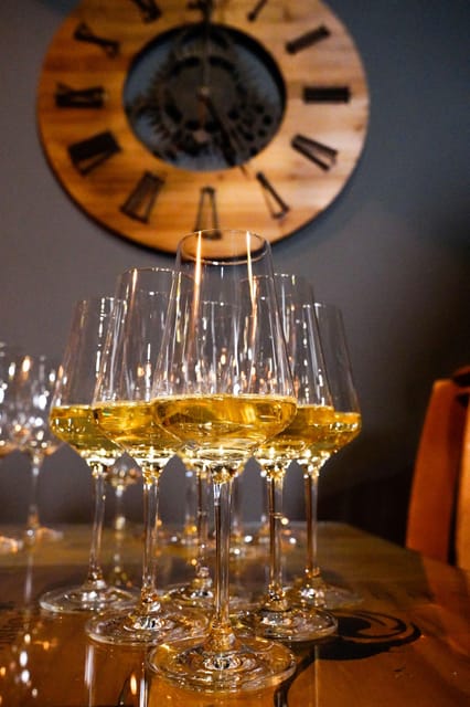 Lisbon: Premium Wine and Tapas Tasting Session - What happens when you arrive at Lisbon Winery
