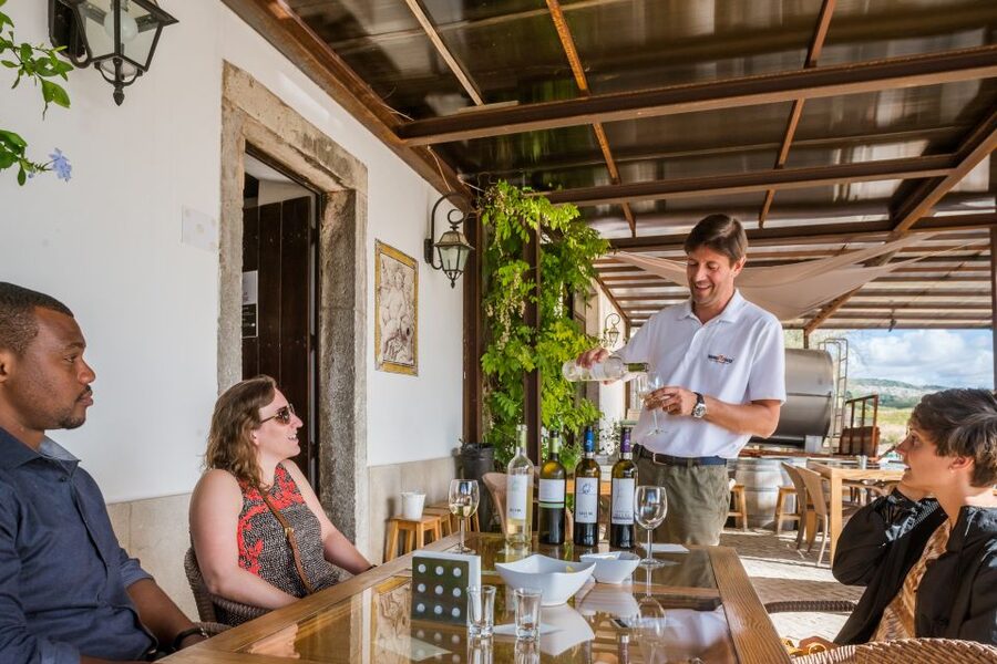 Lisbon Private Setúbal Region Wine Tasting Tour - Why Setúbal makes a fine day trip from Lisbon