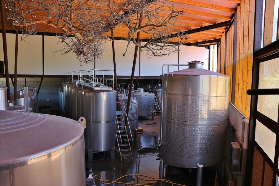 Lisbon Private Setúbal Region Wine Tasting Tour - Assis Lobo for a smaller family welcome