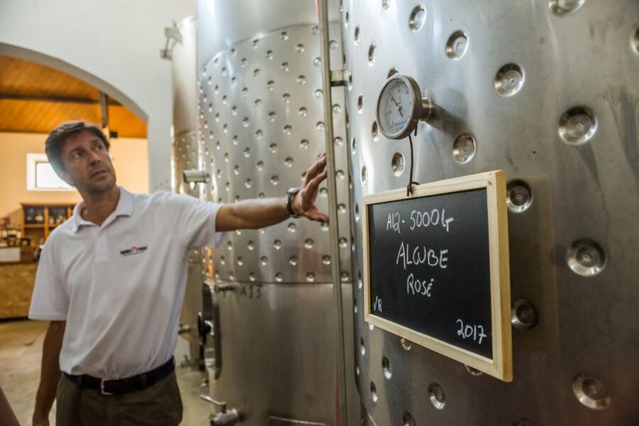 Lisbon Private Setúbal Region Wine Tasting Tour - What the private guide adds