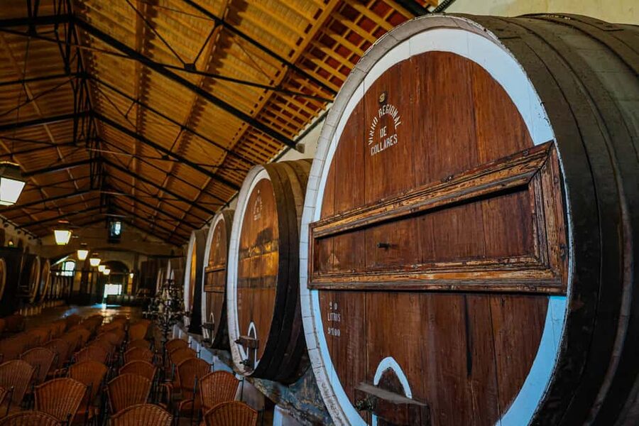 Lisbon: Sintra, Pena Palace & Wine Tasting Small-Group Tour - The guide can make or break a packed itinerary
