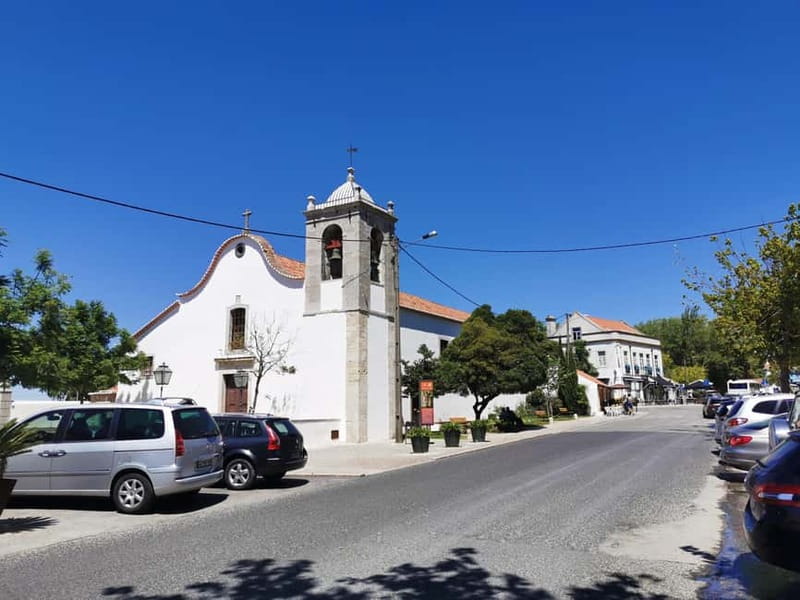 Lisbon to Wine Tasting Setubal, Two Cellars, Half Day Tour - Key points at a glance