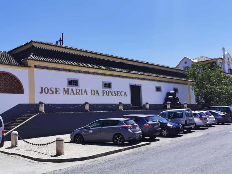 Lisbon to Wine Tasting Setubal, Two Cellars, Half Day Tour - First cellar: tradition, stories, and Moscatel