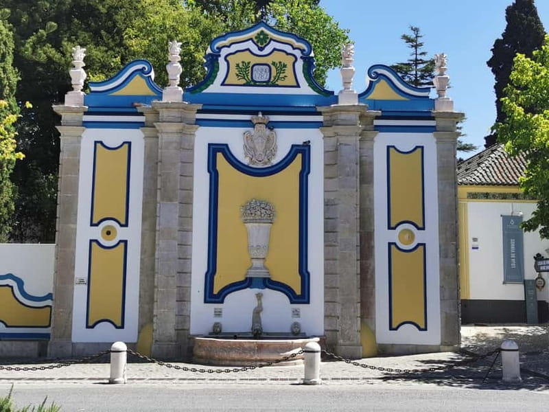 Lisbon to Wine Tasting Setubal, Two Cellars, Half Day Tour - The guides can make or break the day