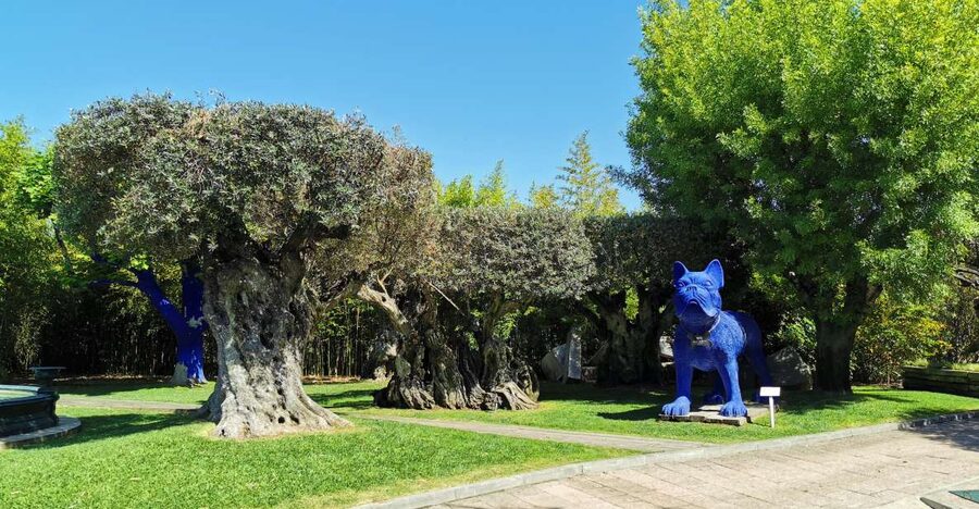 Lisbon to Wine Tasting Setubal, Two Cellars, Half Day Tour - Should you book the Lisbon to Setúbal wine tour?