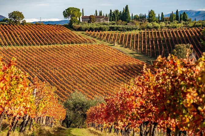 Livorno Shore Excursion: Chianti and Tuscany Countryside Private Wine Tour - Optional lunch near the wineries
