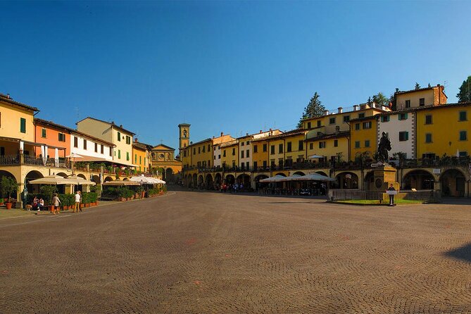 Livorno Shore Excursion: Chianti and Tuscany Countryside Private Wine Tour - What the guide can make or break