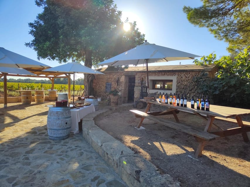 Llucmajor: Bodegas Bordoy Wine Tour - Key things to know before booking