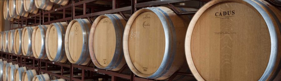 Llucmajor: Bodegas Bordoy Wine Tour - The winery tour: production room, barrels, and vines