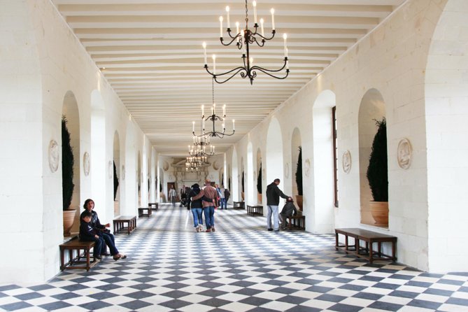 Loire Valley Castles Day Trip from Paris with Complementary Wine - The guide can shape the whole day